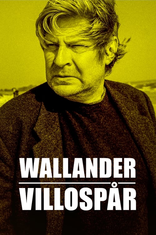 Wallander: Sidetracked