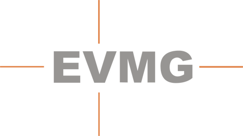 Eagle Vision Media Group