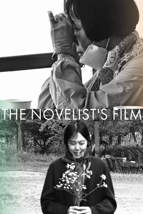 The Novelist's Film