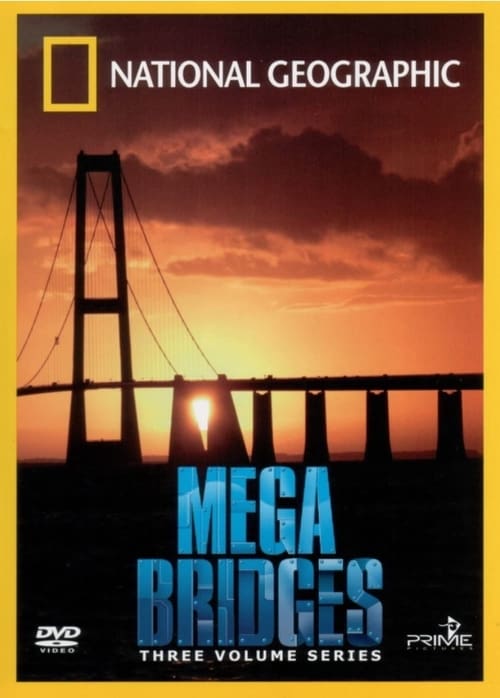 Mega Bridges