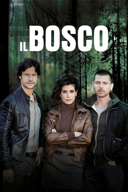 Il Bosco