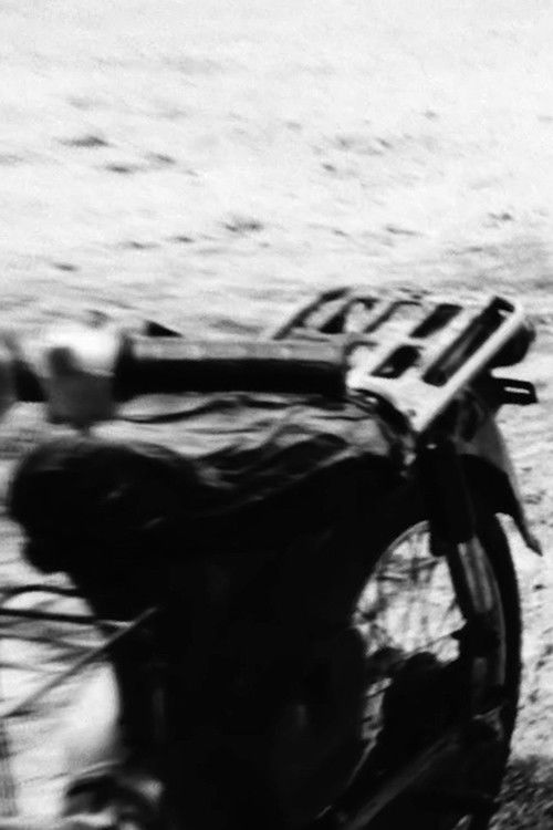 By the Faith of José Gerónimo