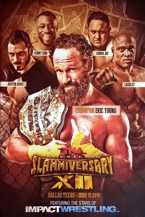 TNA Slammiversary XII