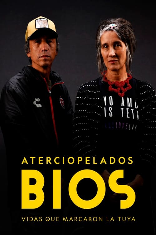 Bios, vidas que marcaron la tuya: Aterciopelados