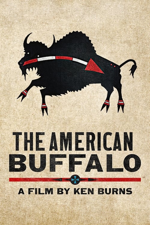 The American Buffalo