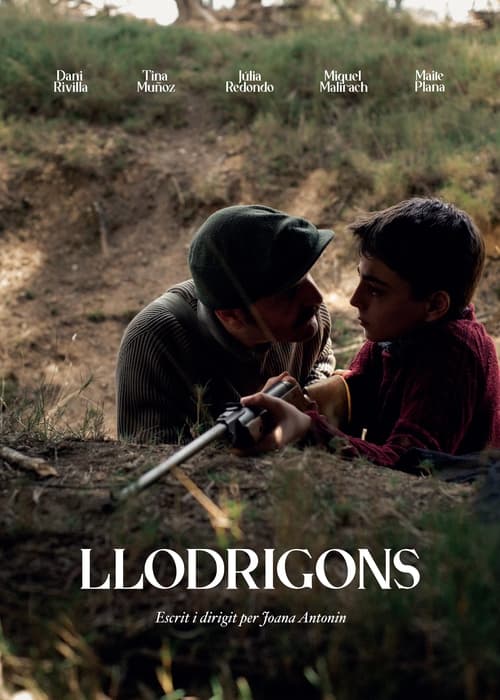 Llodrigons