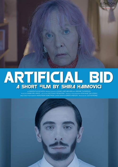 Artificial Bid