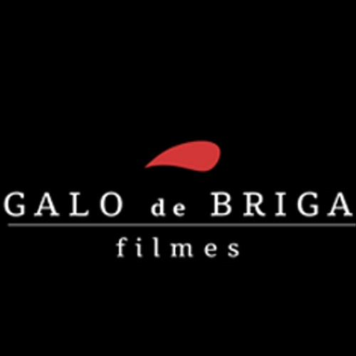 Galo de Briga Filmes