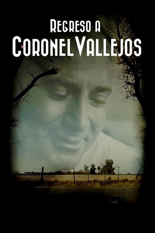 Regreso a Coronel Vallejos