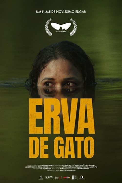 Erva de Gato