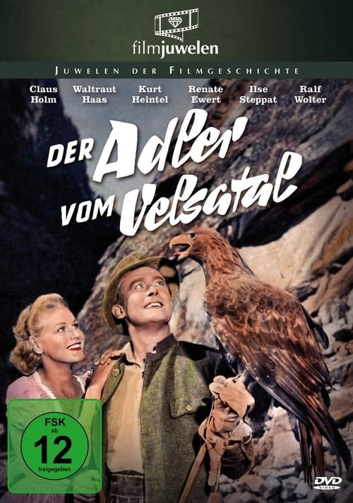 Der Adler vom Velsatal