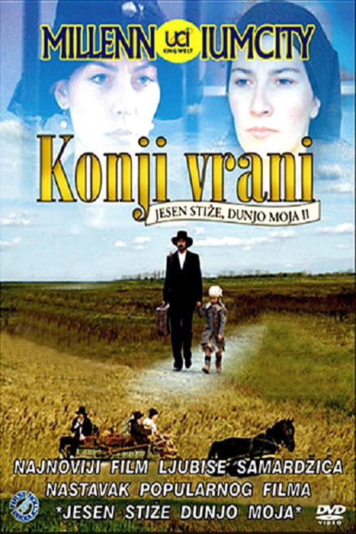 Konji vrani