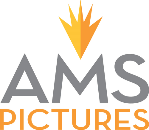 AMS Pictures