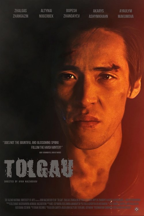 Tolgau