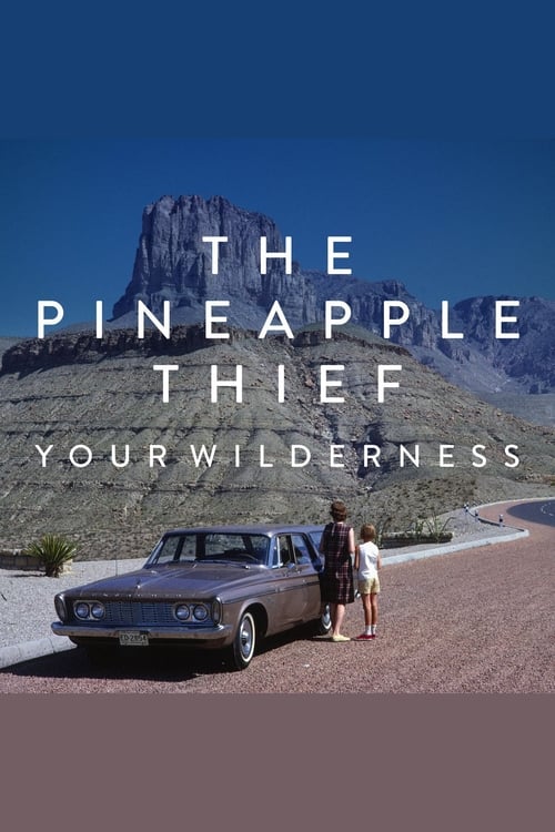 The Pineapple Thief: Your Wilderness