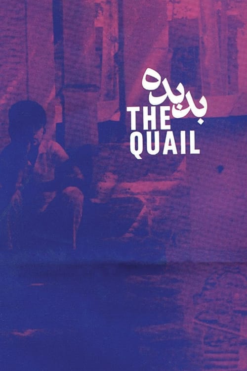 The Quail: The Tale of a Boy Who Asks