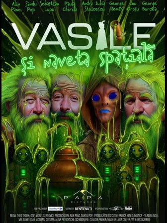 Vasile si naveta spatiala