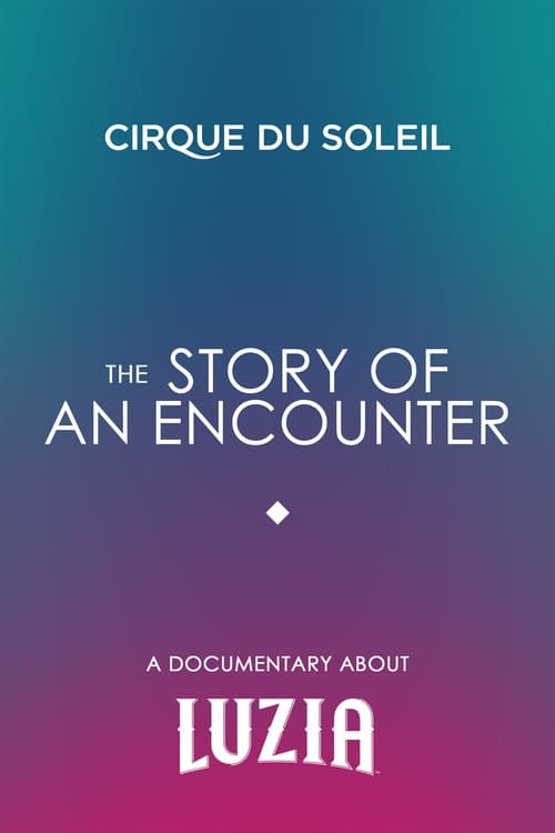 The Story Of An Encounter