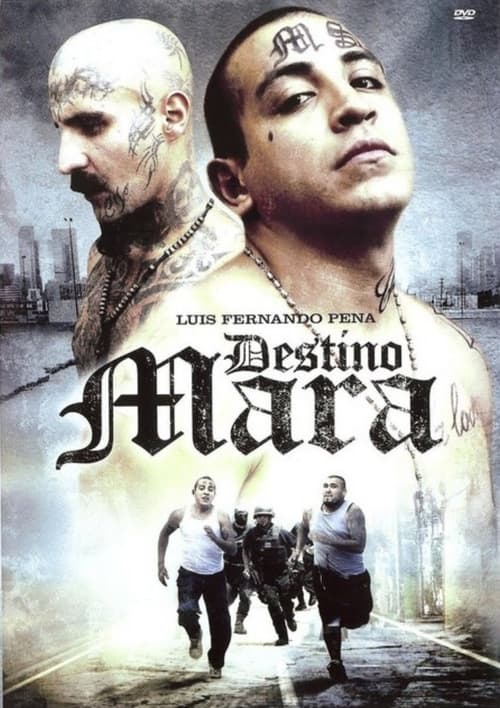 Destino Mara