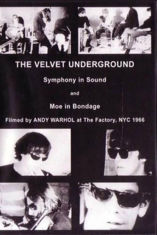 The Velvet Underground and Nico: A Symphony of Sound