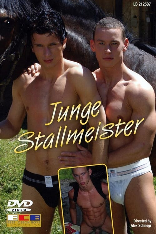 Junge Stallmeister