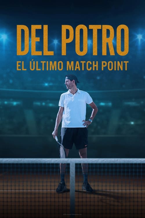 Del Potro, el último match point