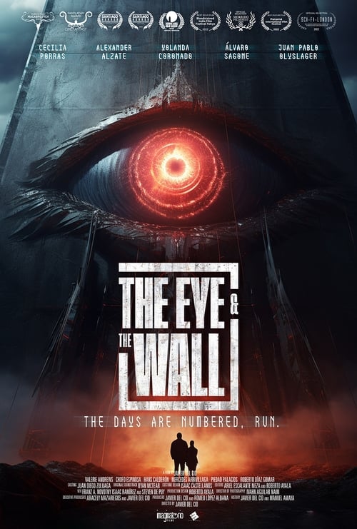 The Eye and the Wall