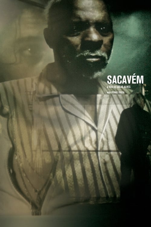 Sacavém: The Films of Pedro Costa