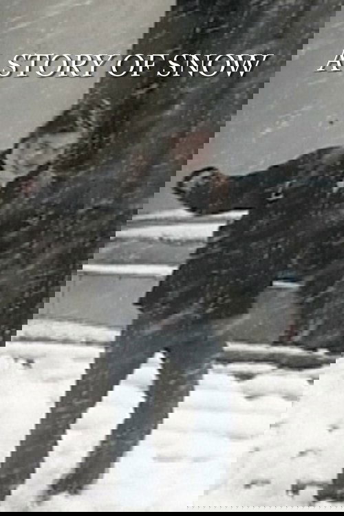 A Story of Snow