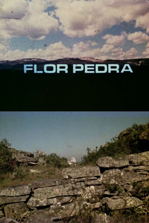 Flor Pedra