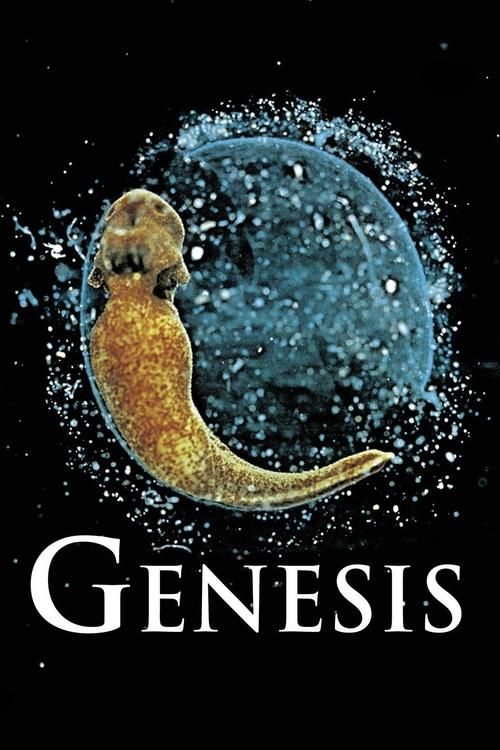 Genesis