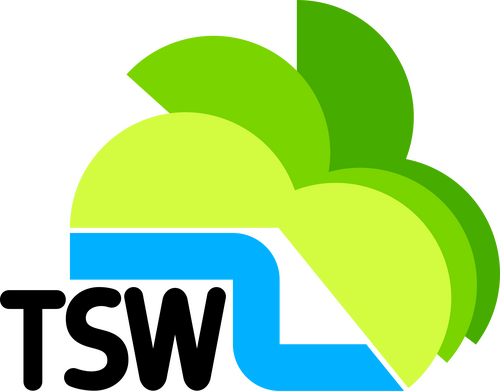 Television South West