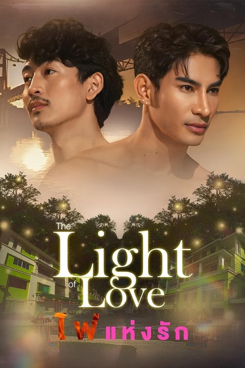 The Light Of Love