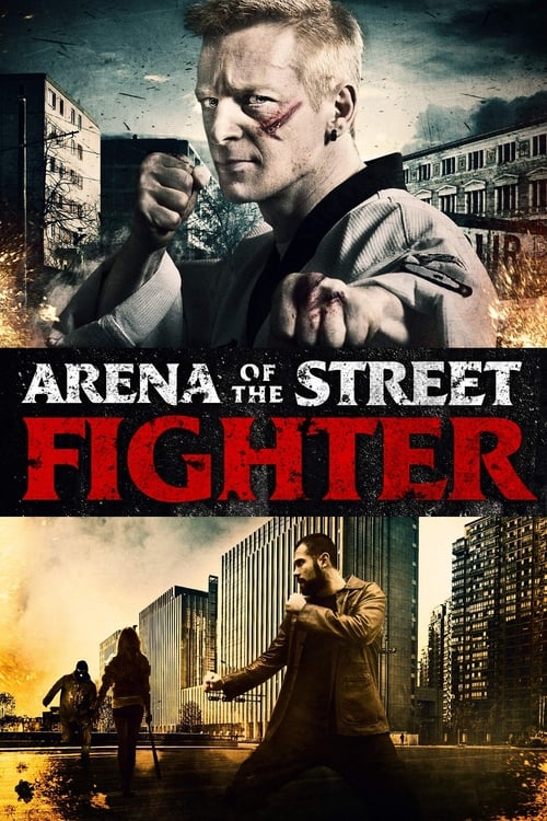 Arena of the Street Fighter