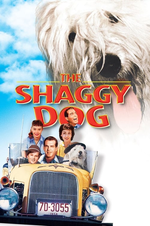 The Shaggy Dog