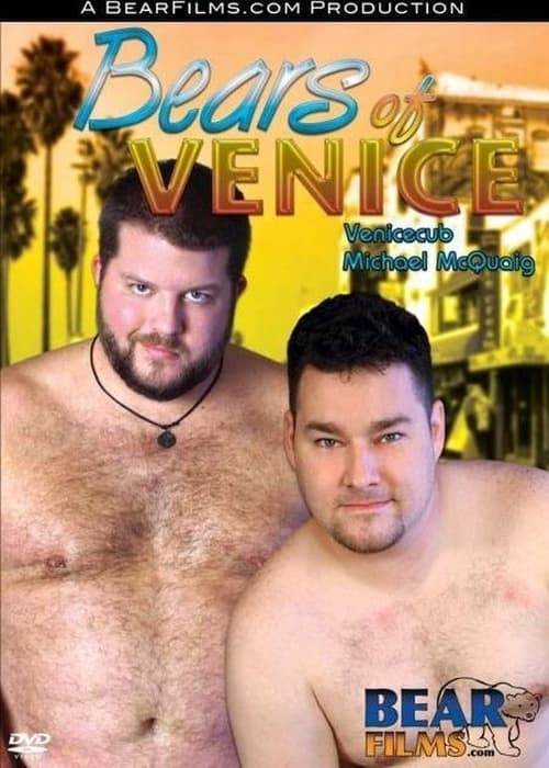 Bears of Venice