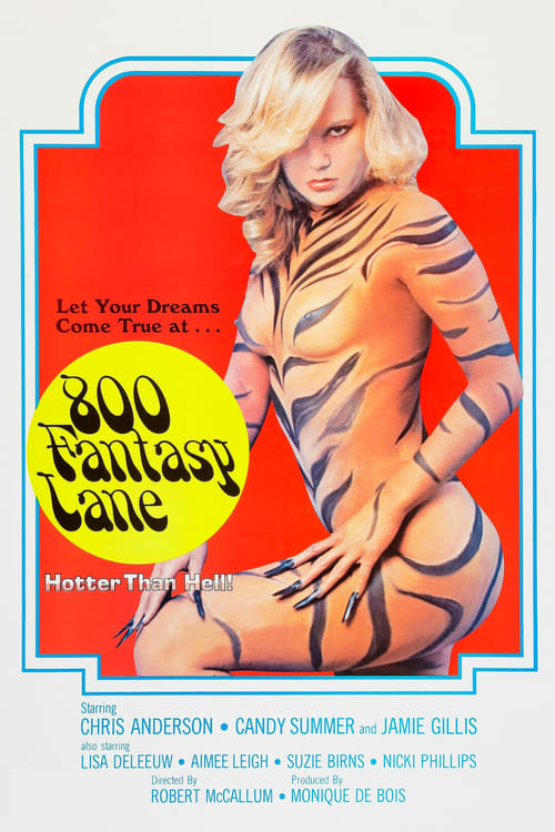 800 Fantasy Lane