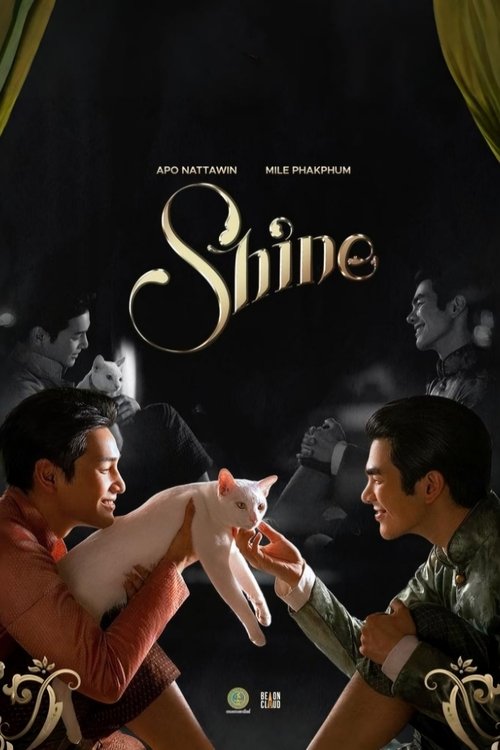 Shine