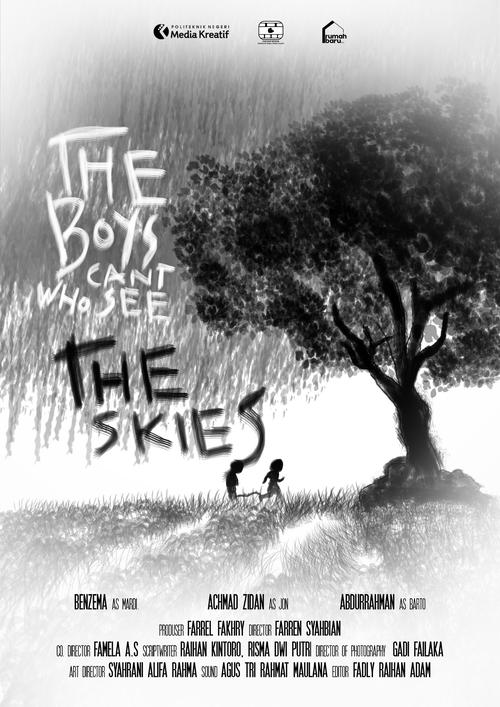 The Boys Who Can't See The Skies