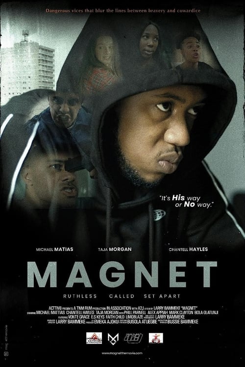 Magnet