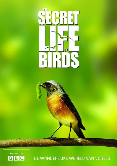 Iolo's Secret Life of Birds