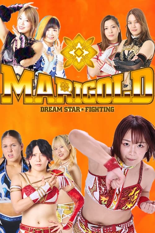 Dream Star Fighting MARIGOLD