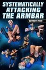 Systematically Attacking The Arm Bar
