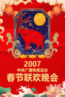 2007 Ding-Hai Year of the Pig