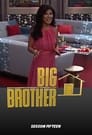 Big Brother 15