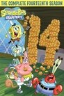 Season 14