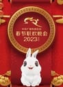 2023 Gui-Mao Year of the Rabbit