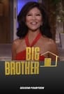 Big Brother 14