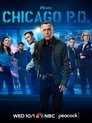 Season 13