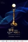 1st Blue Dragon Series Awards